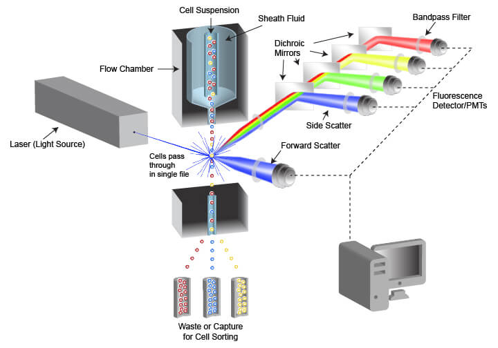 Schematic of flow cytometry system and critical components